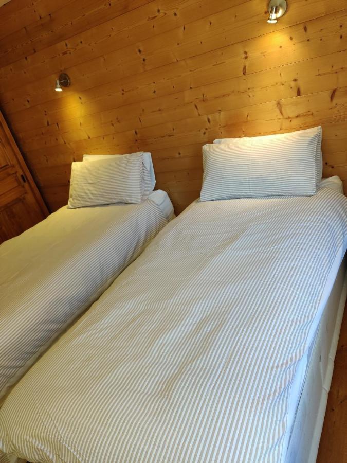 Spacious Ski Chalet In Traditional French Village, Sleeps 8, Four Star With Fibre Broadband Abondance Eksteriør billede